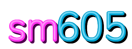 sm605 — logo kanal